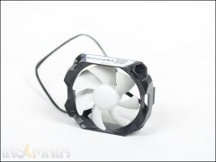 Arctic i11