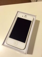 12068695 10207116141238465 3776257152321733055 O
