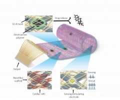 bionic heart patch