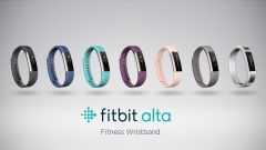 Alta Lineup
