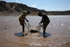 222094 DRC artisanal cobalt mining .0