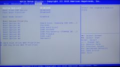 bios 4