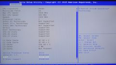 bios 6