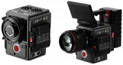 Red scarlet W 2015 12 11 01