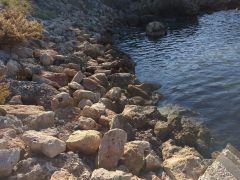 Nexus 5X - Κάμερα