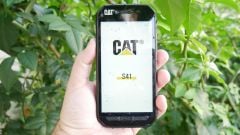 CAT 41