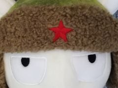Huawei Honor 7 Lite - Photo Sample 6 Closeup