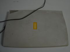 DSC 5205