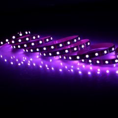 5M ROLL PURPLE