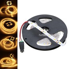 5M WARM WHITE + ADAPTER