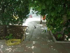 Gati 2013 05 18 12.46.00