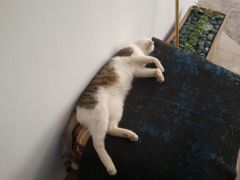 2013 05 30 16.53.33