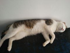 2013 05 30 16.54.00