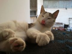Nap1 2013 05 24 19.25.32