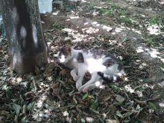 2013 05 03 12.02.14