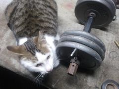 2012 12 21 18.07.38