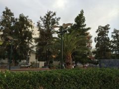 iPhone 5s - Φωτογραφική κάμερα