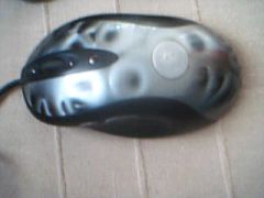 Picture 10