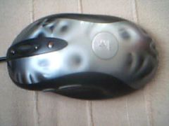 Picture 11