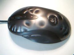 Picture 1