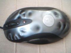 Picture 13