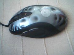 Picture 15