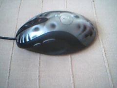 Picture 16