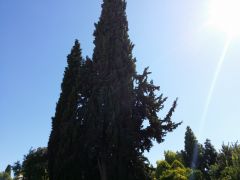 Galaxy Note 3 - Κάμερα