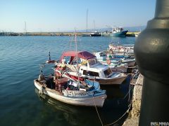 Sony Xperia Z2 Tablet - Camera