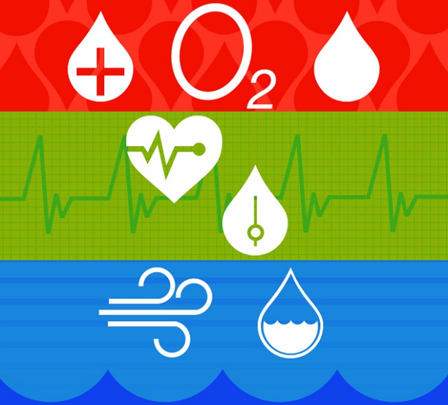 Apple Healthbook. Ο προσωπικός σας "γιατρός"... στο iOS