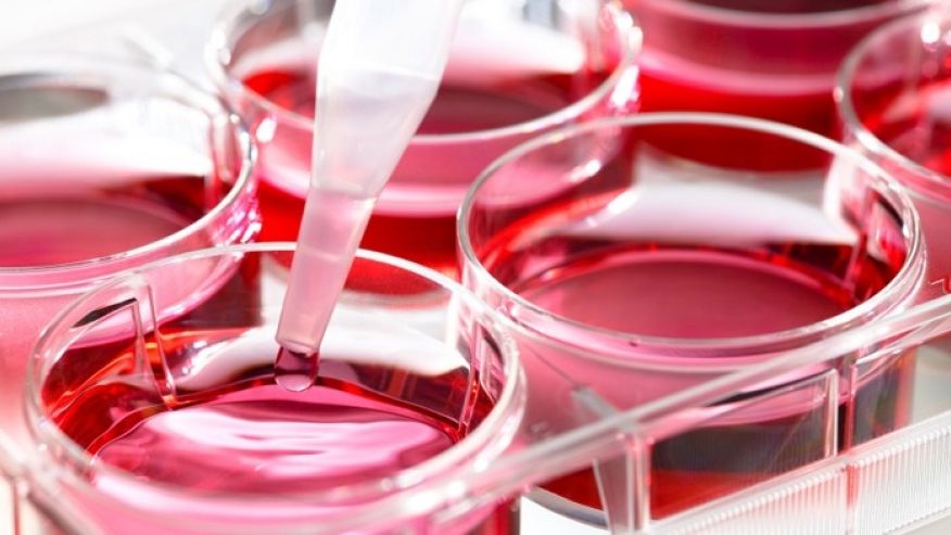 Ισραηλινή εταιρεία τυπώνει βλαστοκύτταρα σε "High Speed" 3D εκτυπωτή