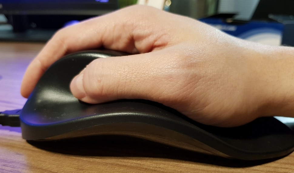 Handshoe Mouse Review