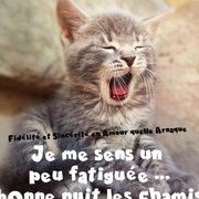 un_peu_sommeillé