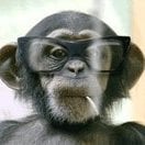 ajaxmonkey4hire