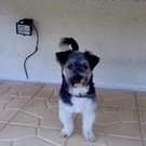 george004