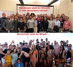 Bitcoin  Developers vs Bcash scammers