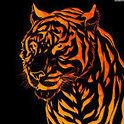 Black9Wolf8