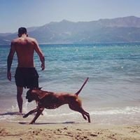 Yiotis19