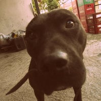 Itsme.pit