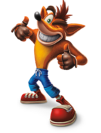ale_bandicoot