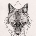 AvitusOwl