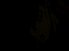 ezgif-2183669277.gif