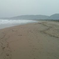 Tonymard12
