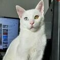 minatz