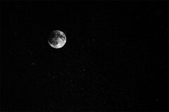 bw_12 (1).jpg