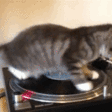 Vinyl Greek Club