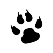 wolfskinn