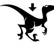DisRaptor