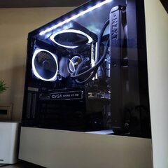 Case