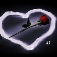 dim2013d
